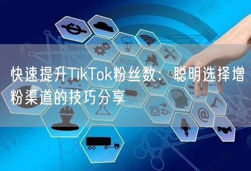 快速提升TikTok粉丝数：聪明选择增粉渠道的技巧分享