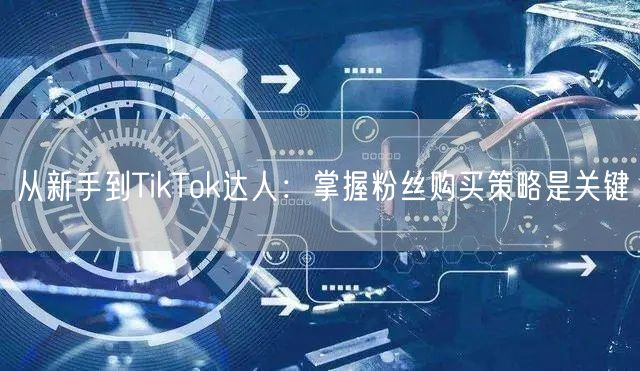 从新手到TikTok达人：掌握粉丝购买策略是关键