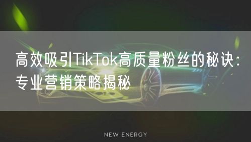 高效吸引TikTok高质量粉丝的秘诀：专业营销策略揭秘