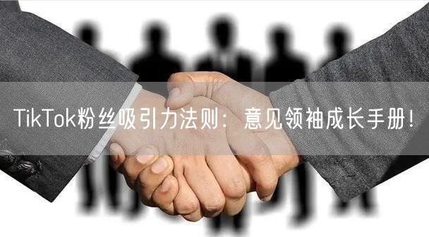 TikTok粉丝吸引力法则：意见领袖成长手册！