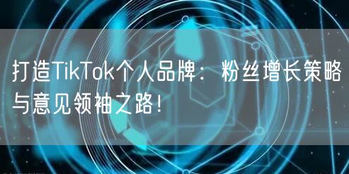 打造TikTok个人品牌：粉丝增长策略与意见领袖之路！