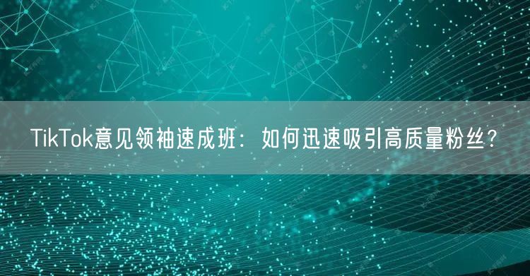 TikTok意见领袖速成班：如何迅速吸引高质量粉丝？