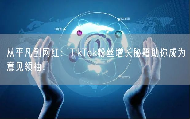 从平凡到网红：TikTok粉丝增长秘籍助你成为意见领袖！