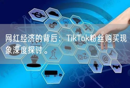 网红经济的背后：TikTok粉丝购买现象深度探讨。
