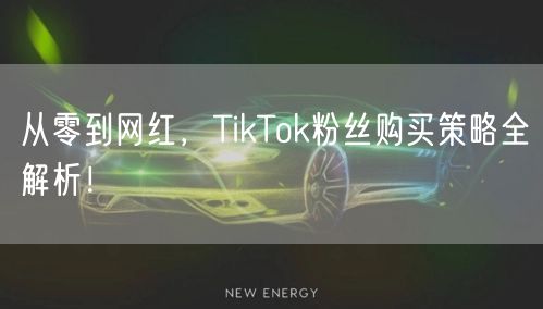 从零到网红，TikTok粉丝购买策略全解析！
