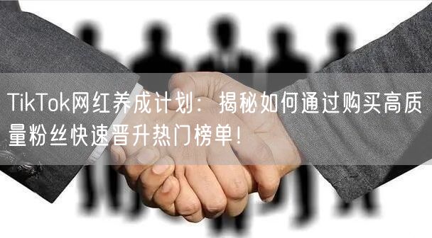 TikTok网红养成计划：揭秘如何通过购买高质量粉丝快速晋升热门榜单！