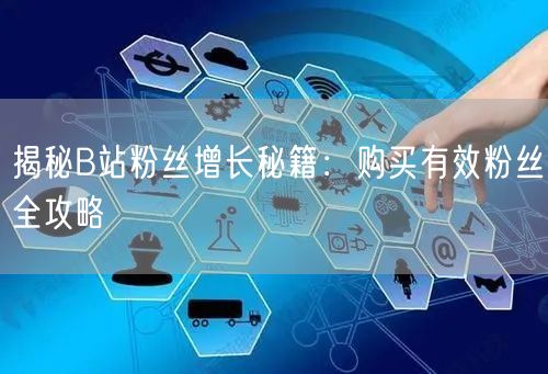 揭秘B站粉丝增长秘籍：购买有效粉丝全攻略