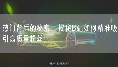 热门背后的秘密：揭秘B站如何精准吸引高质量粉丝！