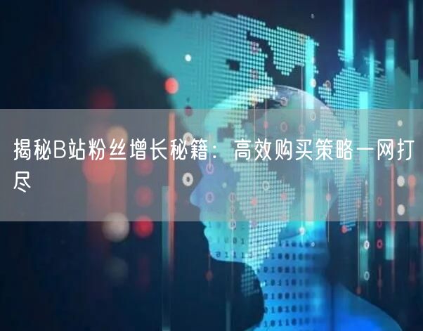 揭秘B站粉丝增长秘籍：高效购买策略一网打尽