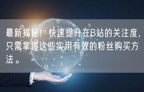最新揭秘！快速提升在B站的关注度，只需掌握这些实用有效的粉丝购买方法。