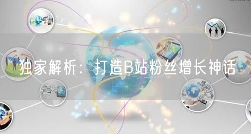 独家解析：打造B站粉丝增长神话