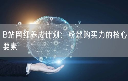 B站网红养成计划：粉丝购买力的核心要素