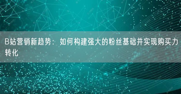 B站营销新趋势：如何构建强大的粉丝基础并实现购买力转化