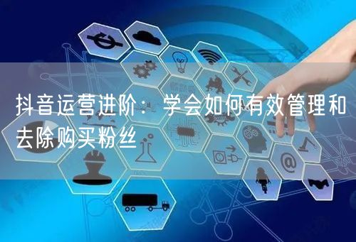 抖音运营进阶：学会如何有效管理和去除购买粉丝