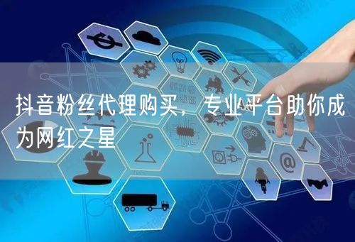 抖音粉丝代理购买，专业平台助你成为网红之星