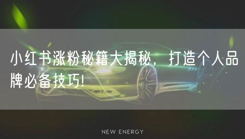 小红书涨粉秘籍大揭秘，打造个人品牌必备技巧!