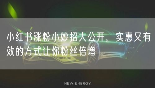 小红书涨粉小妙招大公开，实惠又有效的方式让你粉丝倍增