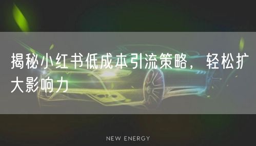 揭秘小红书低成本引流策略，轻松扩大影响力