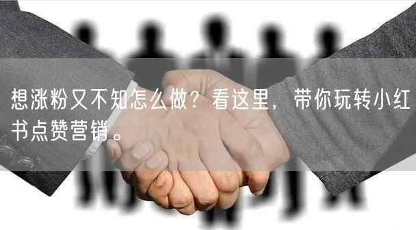 想涨粉又不知怎么做？看这里，带你玩转小红书点赞营销。