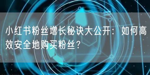 小红书粉丝增长秘诀大公开：如何高效安全地购买粉丝？