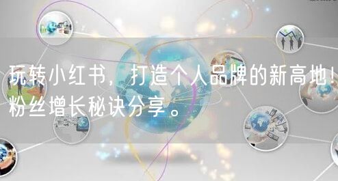 玩转小红书，打造个人品牌的新高地！粉丝增长秘诀分享。