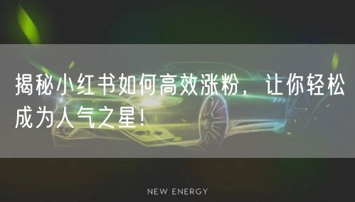 揭秘小红书如何高效涨粉，让你轻松成为人气之星！