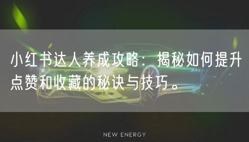 小红书达人养成攻略：揭秘如何提升点赞和收藏的秘诀与技巧。