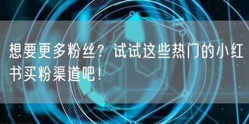 想要更多粉丝？试试这些热门的小红书买粉渠道吧！