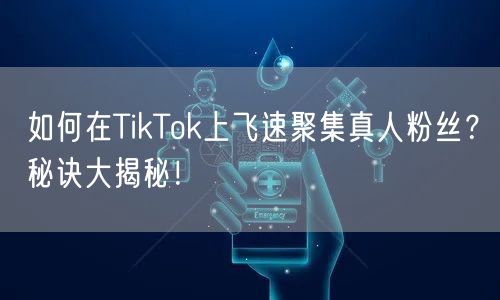如何在TikTok上飞速聚集真人粉丝？秘诀大揭秘！